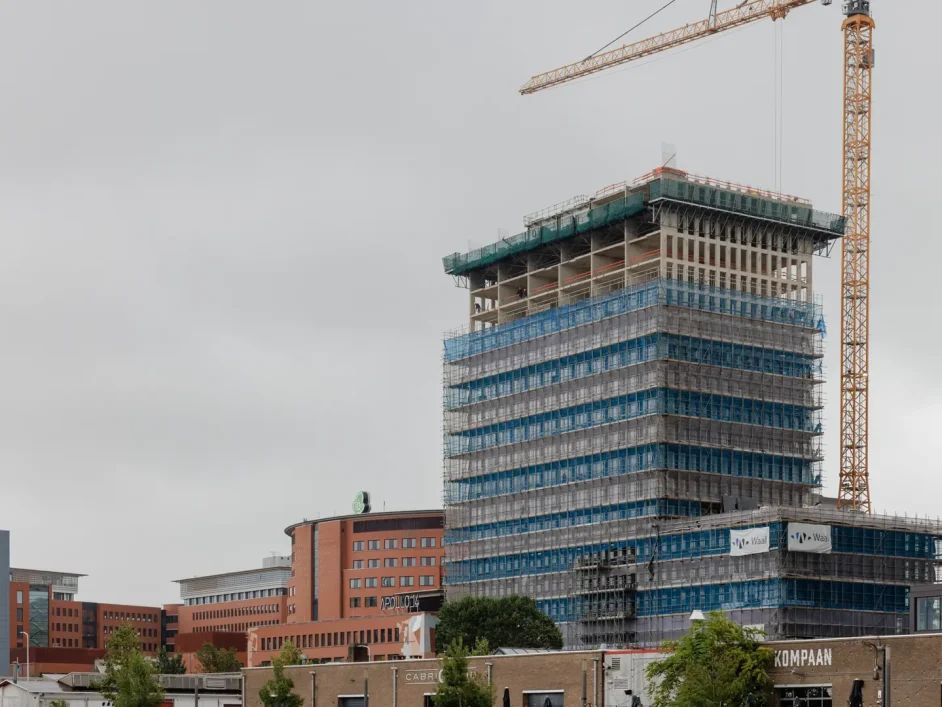 Scalar project One Milky Way